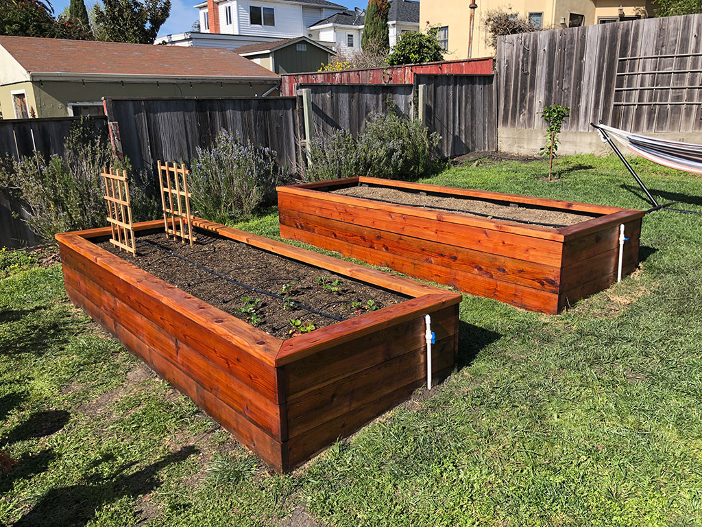 RaisedBeds_013